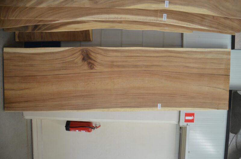 Boomstamtafel 300 cm suar -BT 243- 3 meter boomstamtafel (1)